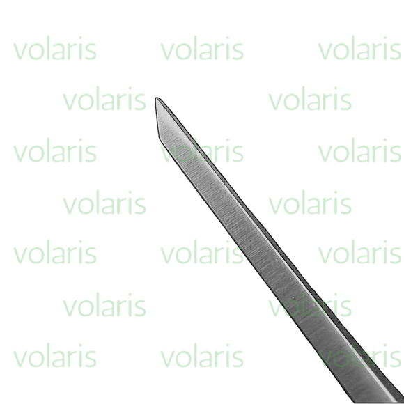 Alexander Chisel, Economy