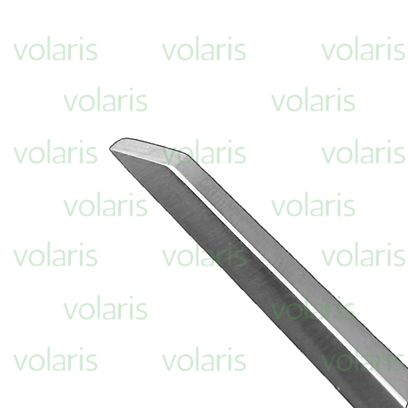 Alexander Chisel, Economy