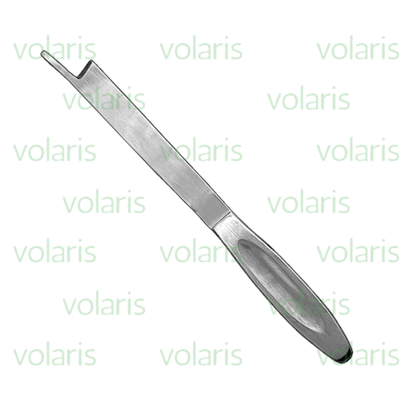 Brunetti Chisel, Economy