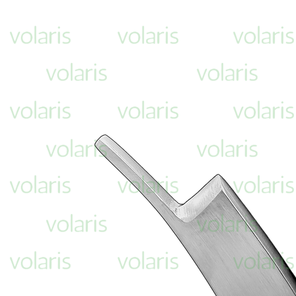 Brunetti Chisel, Economy