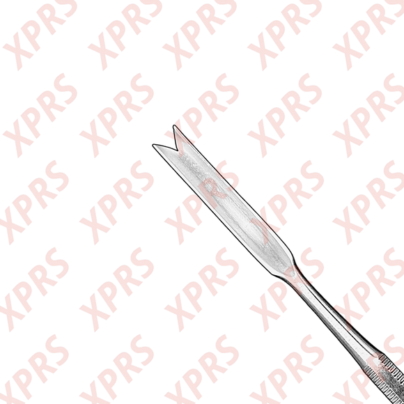 Hajek-Ballenger Chisel