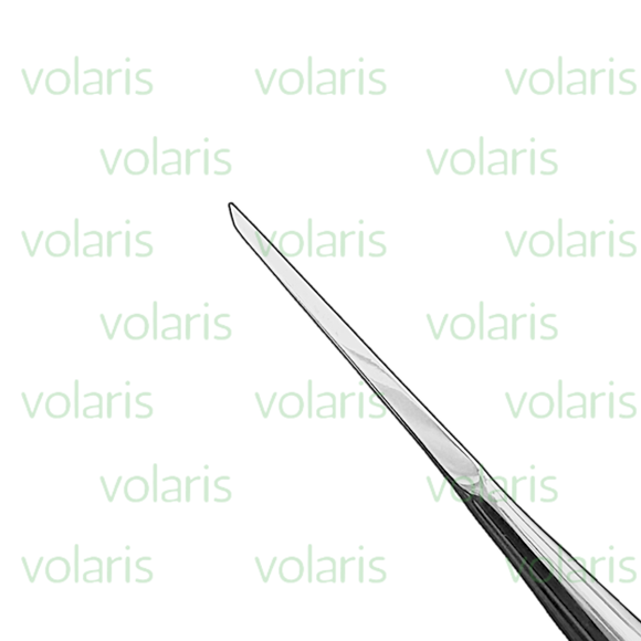 Gardner Bone Chisel, Economy