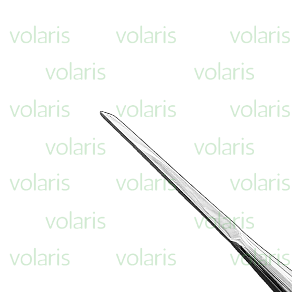 Gardner Bone Chisel, Economy