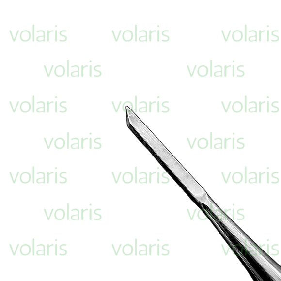 Gardner Bone Chisel, Economy