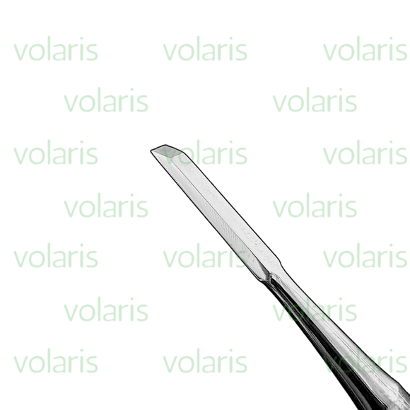 Gardner Bone Chisel, Economy