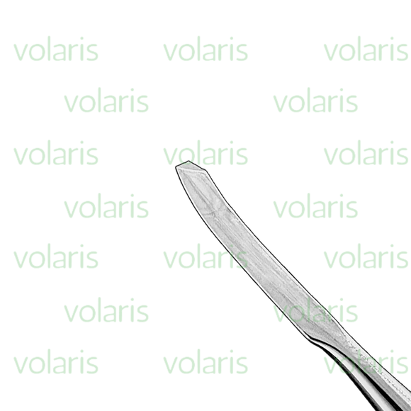 Gardner Bone Chisel, Economy