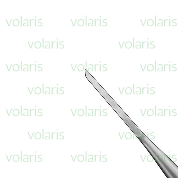 Hibbs Chisel, Economy