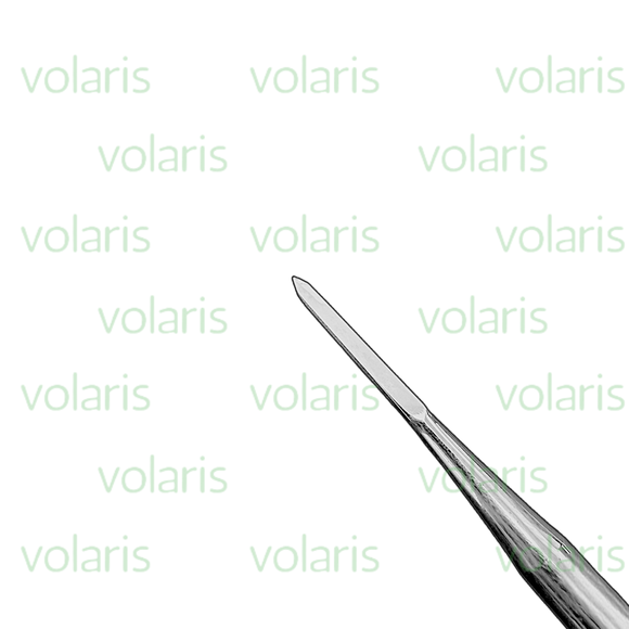 McFarland Bone Chisel, Economy