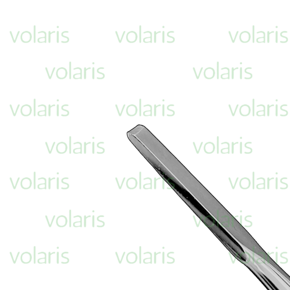 Wakefield Bone Chisel, Economy