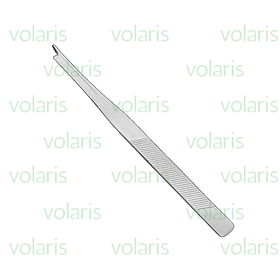 Silver Chisel , Economy