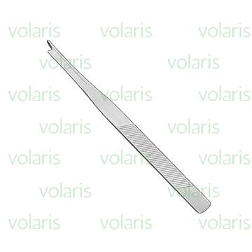 Silver Chisel , Economy