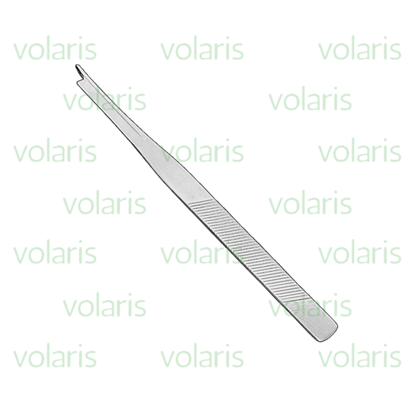 Silver Chisel , Economy