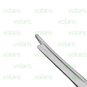 Silver Chisel , Economy - 0