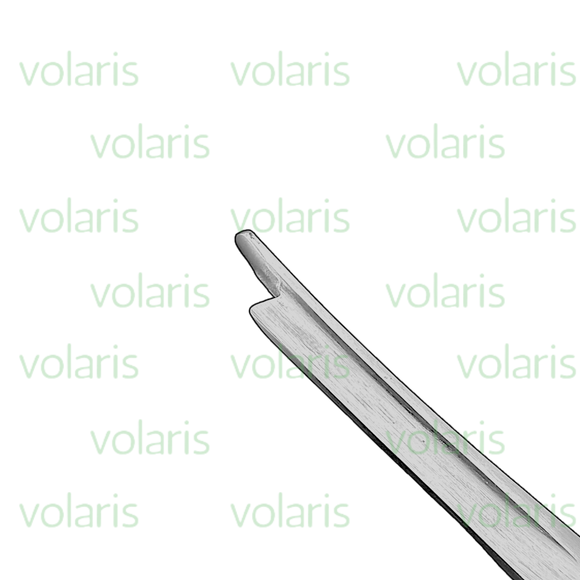 Silver Chisel , Economy