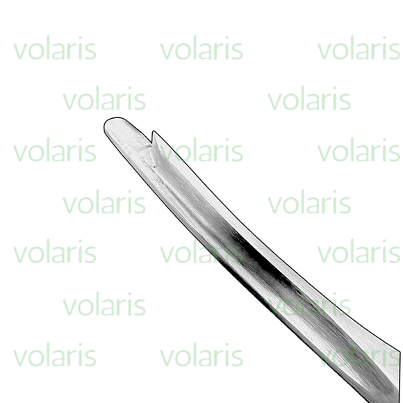 Silver Chisel , Economy