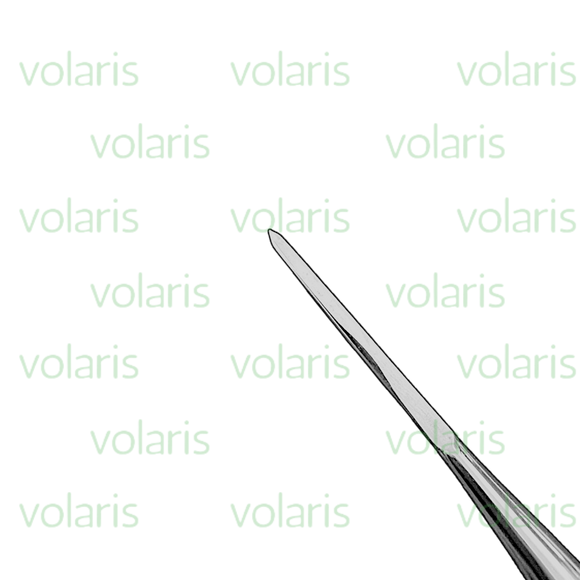 Wakefield Bone Chisel, Economy