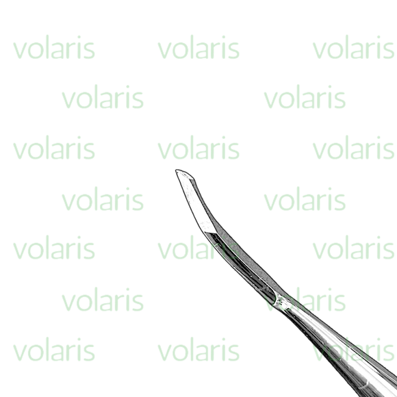 Ochsenbein Dental Chisel, Economy