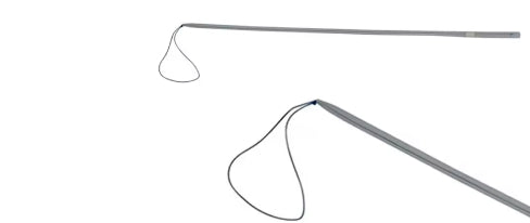 Loops