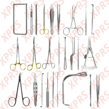 Cleft and Cleft Palate Set