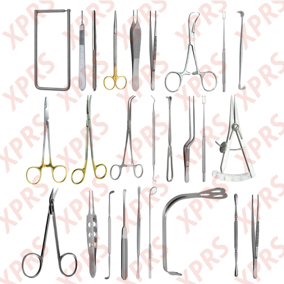 Cleft and Cleft Palate Set